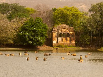 itinerary_ranthambore_2