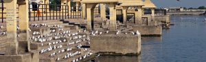 13 Nights – 14 Days Splendid Tour of Gujarat