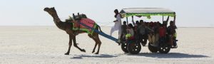 Golden Triangle Tour with Gujarat