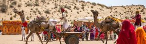 Rural Tour of Rajasthan