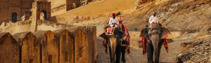 Rustic and Rural Rajasthan Tour Package