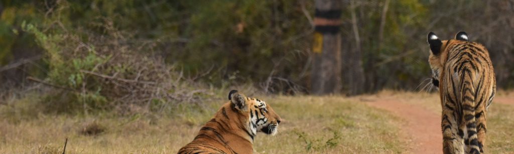 Short Rajasthan Tour Package